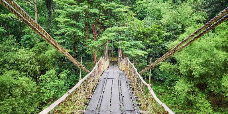 Danum Valley